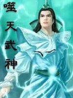 叶辰夏倾月小说名字叫什么