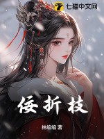 踏月摘星个人简介