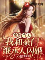 狂婿如龙陆叶白风雪