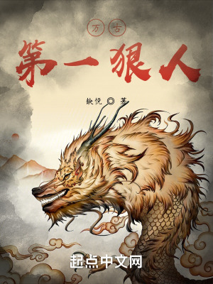 沈七夜林初雪免费阅读