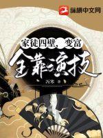 盛兮沈安和全集小说阅读免费