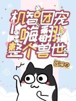 司恋战南夜是什么小说