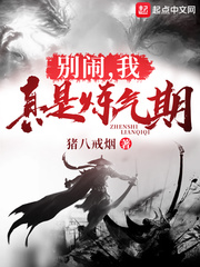 盛兮沈安和最新免费阅读