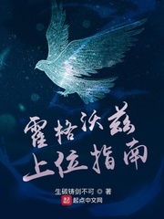 叶风云陆一曼全本免费阅读