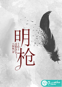 叶观纳兰迦是什么小说