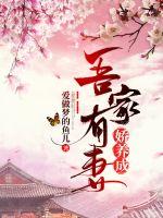 唐俏儿沈惊觉免费阅读无弹窗