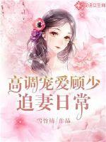 李锋秦卿护国战婿免费阅读全文