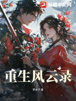 重生风云录